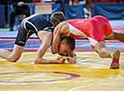 Freestyle and Greco-Roman wrestling tournament in Brest