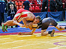 Freestyle and Greco-Roman wrestling tournament in Brest