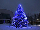 Christmas tree near Grodno Philharmonic Hall