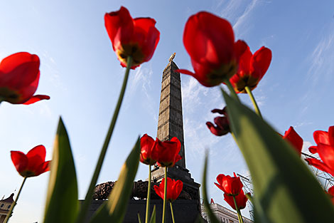 May tulips on Victory Square in Minsk