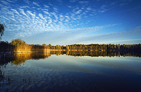 Autumn landscape