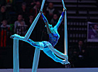 Official opening ceremony of the ISU European Figure Skating Championships