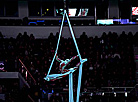 Official opening ceremony of the ISU European Figure Skating Championships