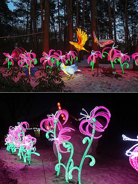 Lantern Festival in Botanical Garden in Minsk