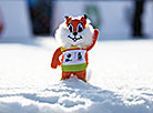 Mascot of the 2019 IBU Open European Championships