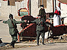 WWI battle reenactment at Stalin Line