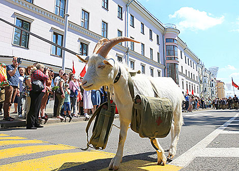 1944 partisan parade reenactment in Minsk