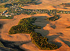 Bird’s eye panorama of Minsk Oblast