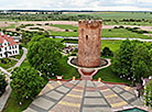 Belaya Vezha (White Tower) in Kamenets