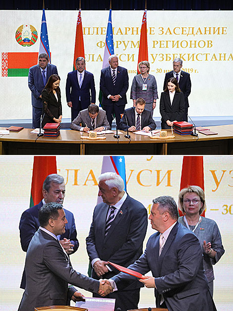 A range of agreements and contracts signed during the plenary session 