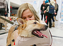 Animal charity event in Minsk