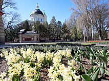 Spring in Gomel park