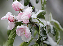 Snow in Grodno