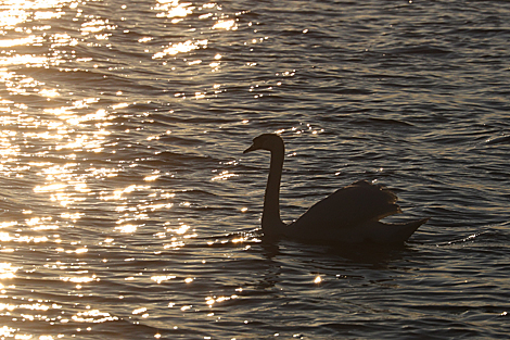 Sunset in Grodno District