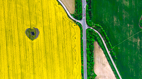 May colours in Minsk Oblast