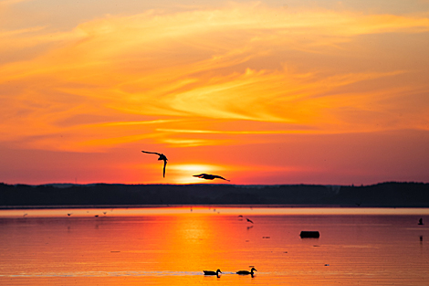 A sunset over Minskoye More