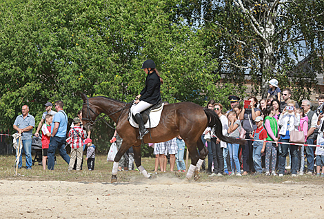 Horse festival in Bobruisk District