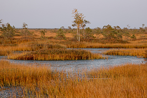 Yelnia Landscape Reserve