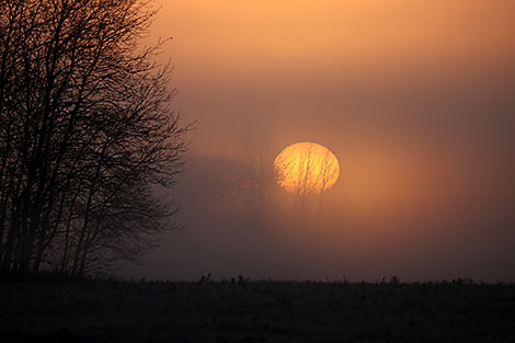 Sunrise in Grodno District 