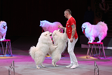 New show in Gomel Circus