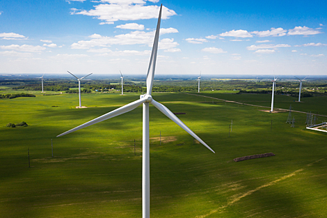 Wind farm in Novogrudok District