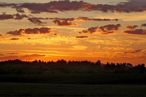 Summer sky in Vitebsk District