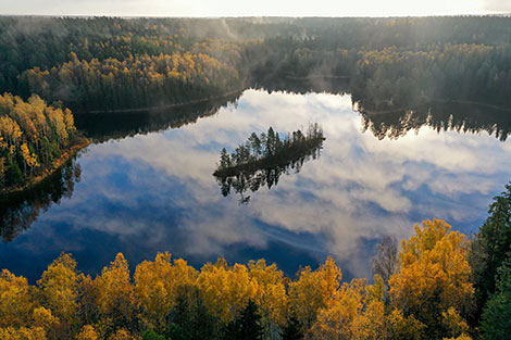 Восень у заказніку 