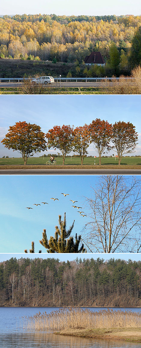 Autumn in Belarus