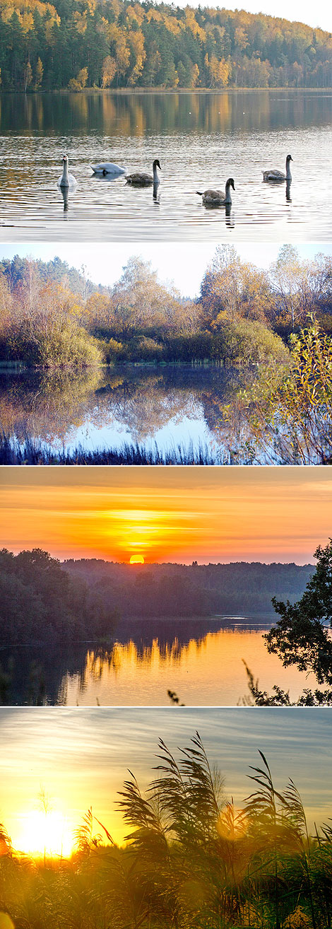 Autumn in Belarus