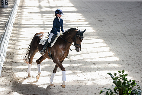 National dressage competitions in Ratomka