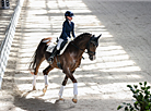 National dressage competitions in Ratomka