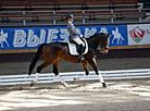 National dressage competitions in Ratomka