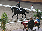 National dressage competitions in Ratomka