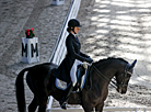 National dressage competitions in Ratomka