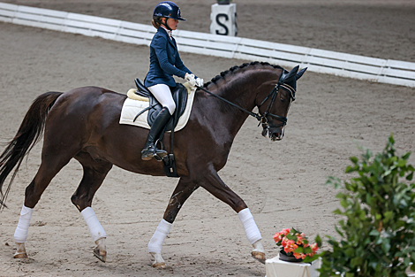 National dressage competitions in Ratomka