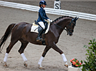 National dressage competitions in Ratomka