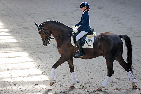 National dressage competitions in Ratomka