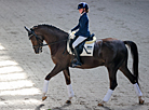 National dressage competitions in Ratomka