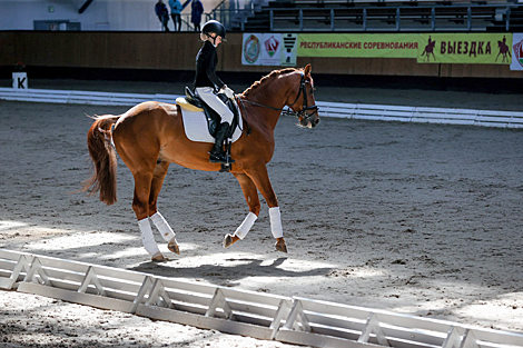 National dressage competitions in Ratomka