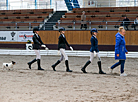 National dressage competitions in Ratomka