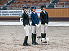 National dressage competitions in Ratomka