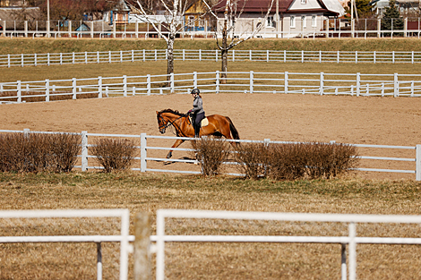 National dressage competitions in Ratomka