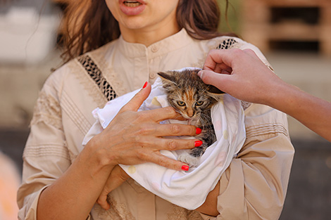 The Way Back Home pet adoption event in Minsk