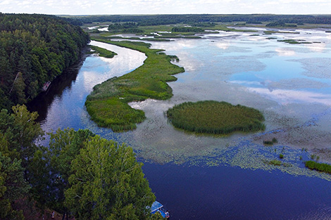 Chigirinskoye Water Reservoir in Bykhov District