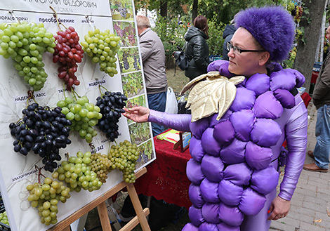 Gomel celebrates its 880th anniversary 