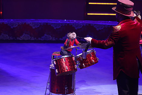 New circus show in Minsk