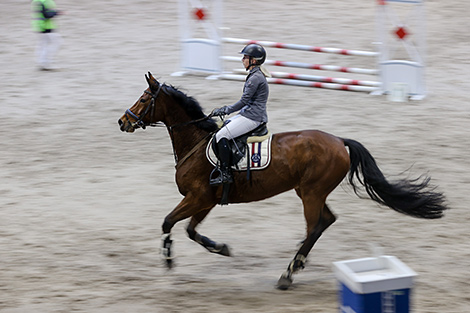 Show jumping competition for Denis Davydov Cup in Ratomka