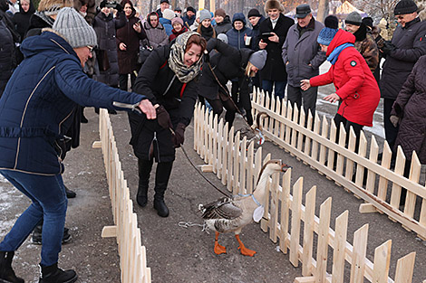 Гусиные забеги в агрогородке Белая Дуброва