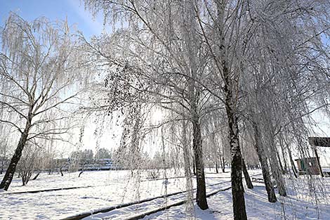 Зимний пейзаж в Копыльском районе 