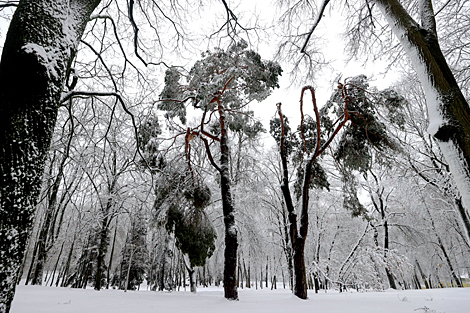 雪后的首都高尔基公园